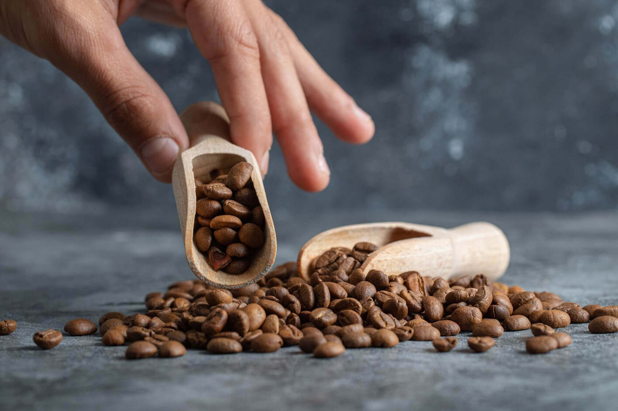 Freshly roasted coffee beans